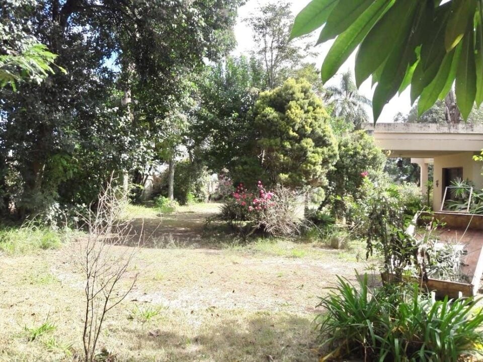 CHÁCARA URBANA / TERRENO com 5859 m² de  em Ponta Grossa, PR
