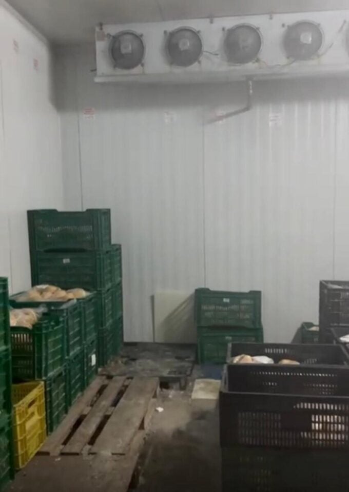INDÚSTRIA ALIMENTOS CONGELADOS PÃO DE QUEIJO / SALGADOS