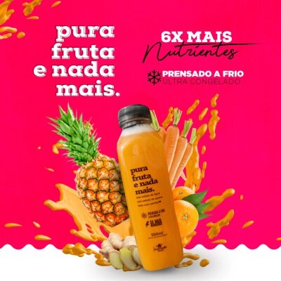 Empresa alimentação saudável congelada – Faturamento comprovado