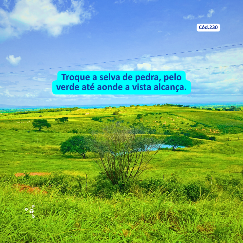 Cód230 – Restaurante Rural à Venda em Sergipe