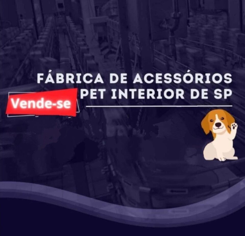 FÁBRICA DE ARTIGOS PET E ECOMMERCE LUCRO LÍQUIDO 20 MIL