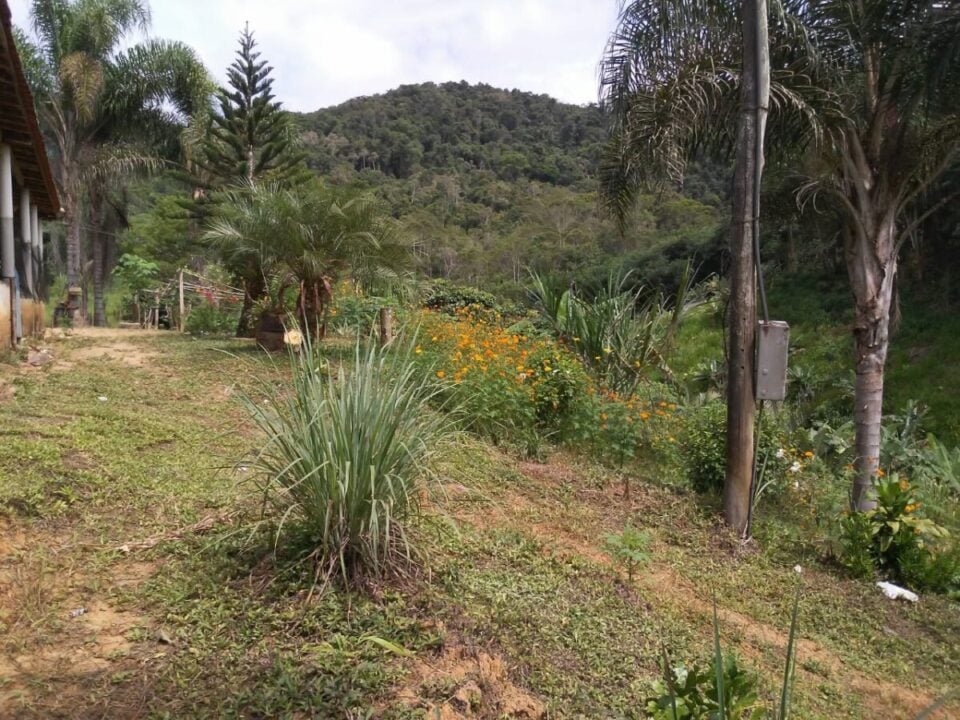 Chácara à Venda em Miracatu – 12 Alqueires de Produção e Recursos Naturais