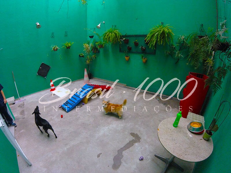 Pet Shop na Zona Sul, SP Cod 112978