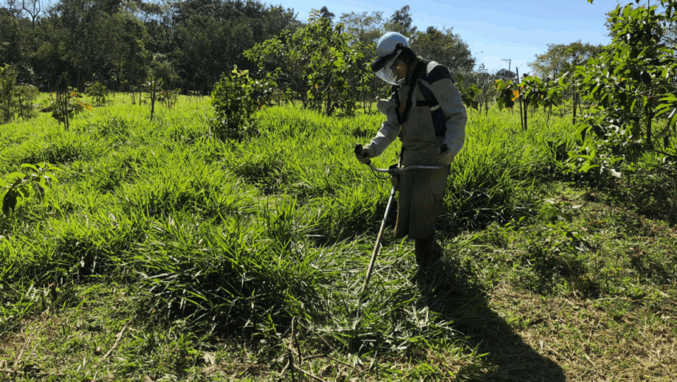 Empresa de prestação de serviços ambientais