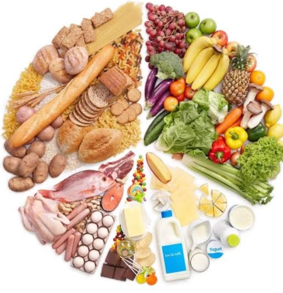 Empresa de Alimentação Saudavel