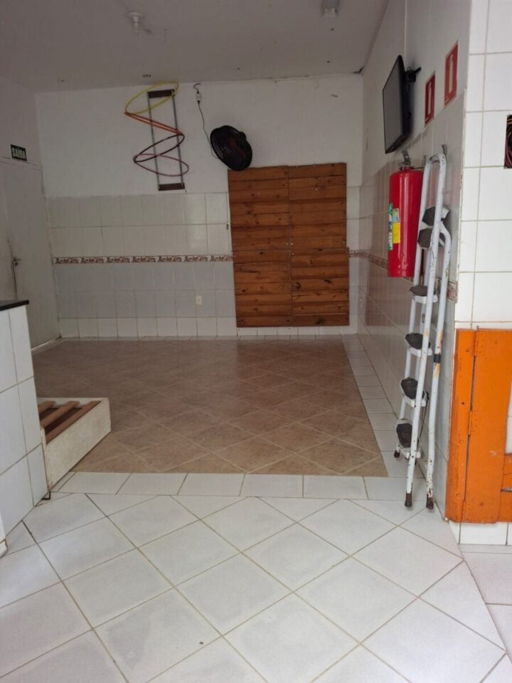 Creche e Hotel de cães em São Caetano