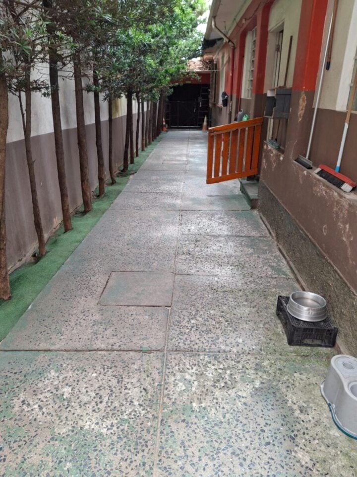 Creche e Hotel de cães em São Caetano