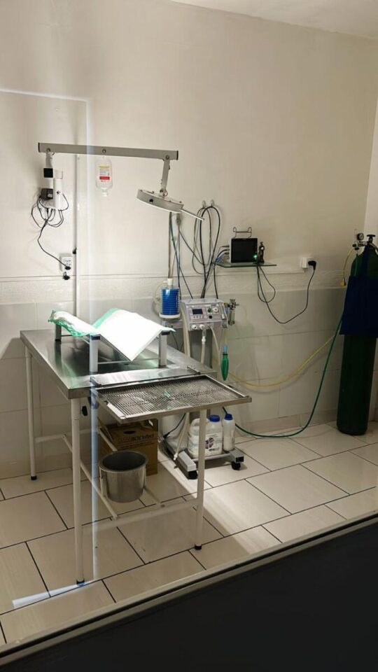 Venda de Clínica Veterinária, Loja e Pet Shop e Passagem de Ponto Comercial