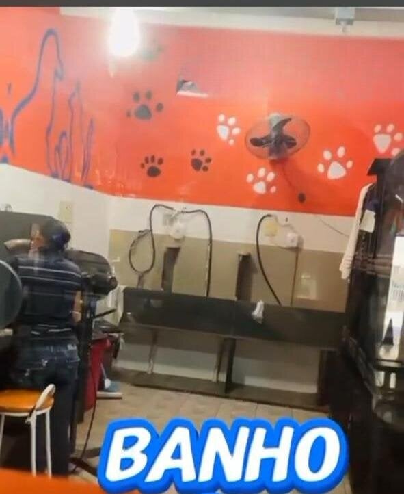 VENDA DE PETSHOP