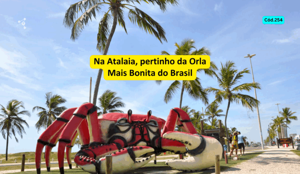 Restaurante de Sushi à Venda em Aracaju – R 57000