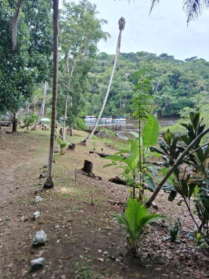 Ilha com Cachoeira dentro da propriedade