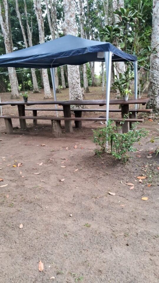 Ilha com Cachoeira dentro da propriedade