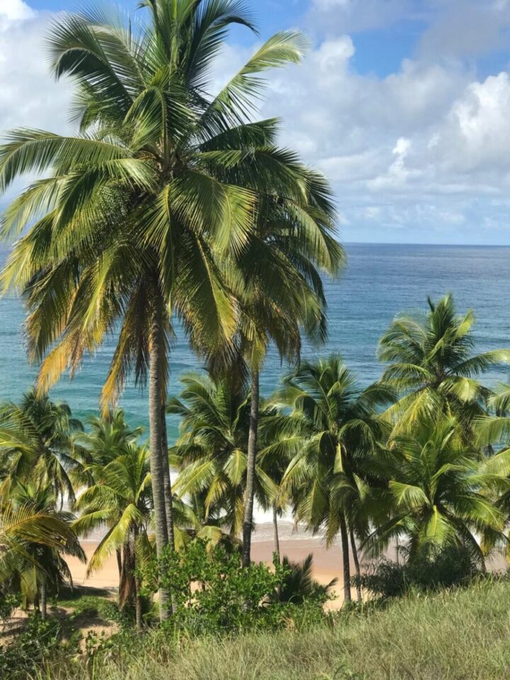 Morro de Taipu de Fora beira-mar