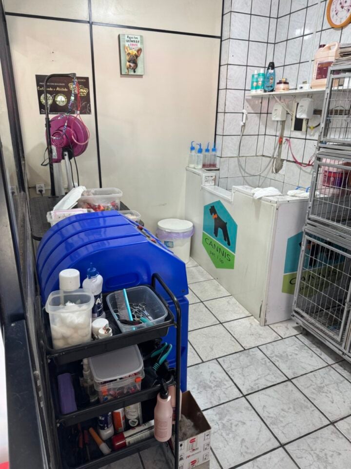 Pet Shop em Florianópolis, SC