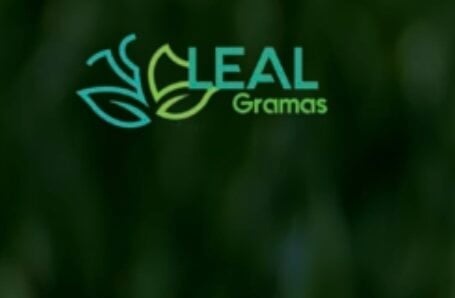Leal Gramas Sintética –