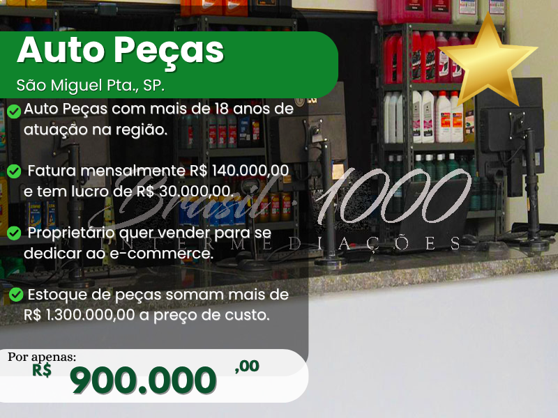 Auto Peças em São Miguel Pta SP Cod 104948