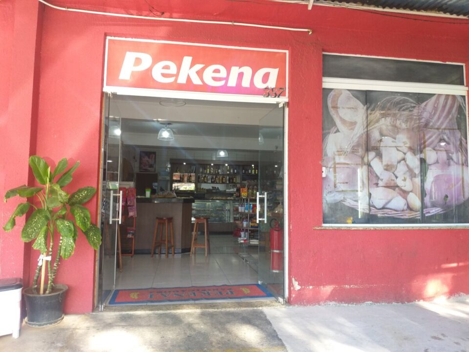 Venda