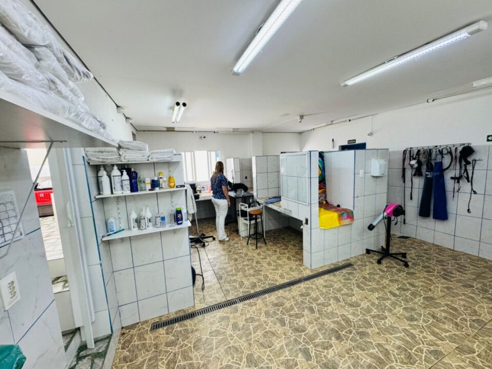 Clínica Veterinária à Venda em Jundiaí