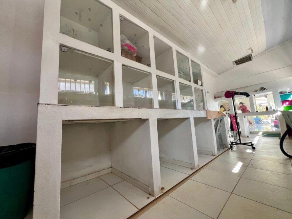 Clinica Veterinaria e Pet Shop em Barreiras-Ba