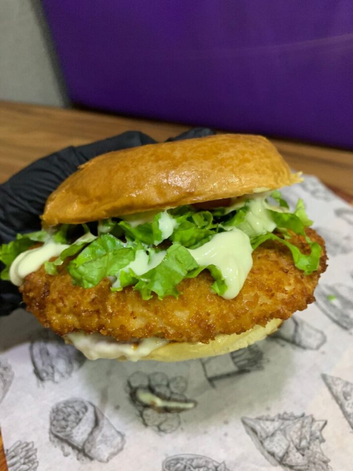 VENDA DE HAMBURGUERIA E AÇAITERIA