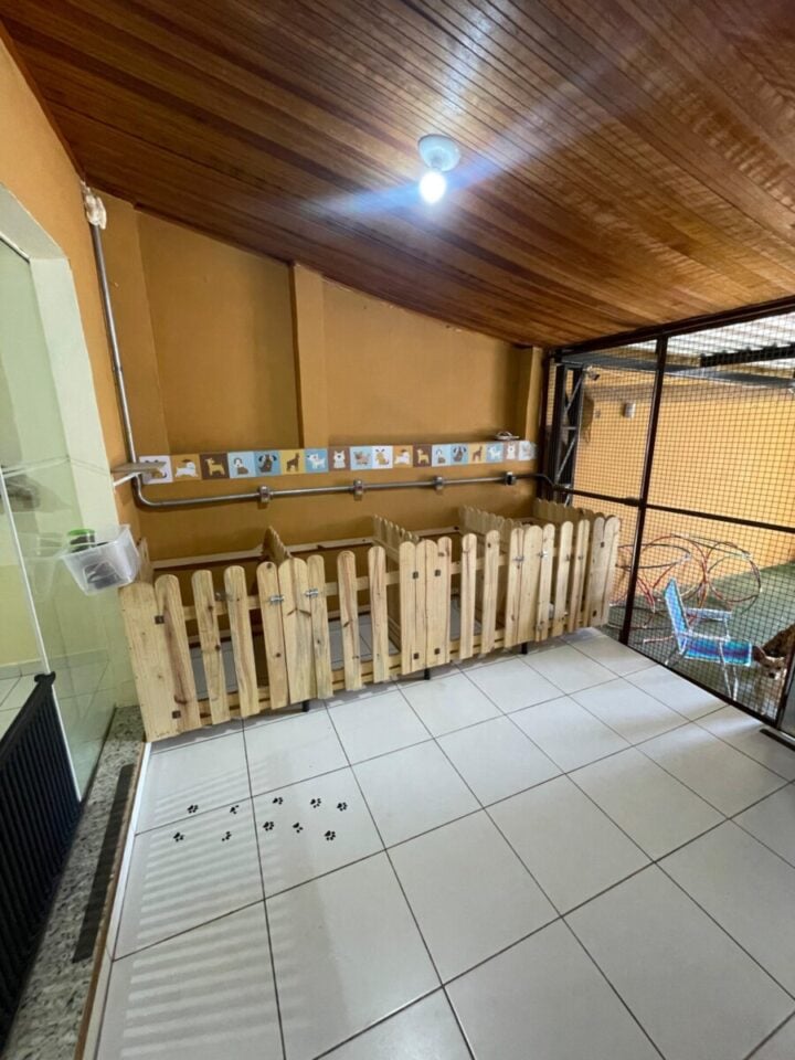 Creche e hotel para cães – Campinas/SP