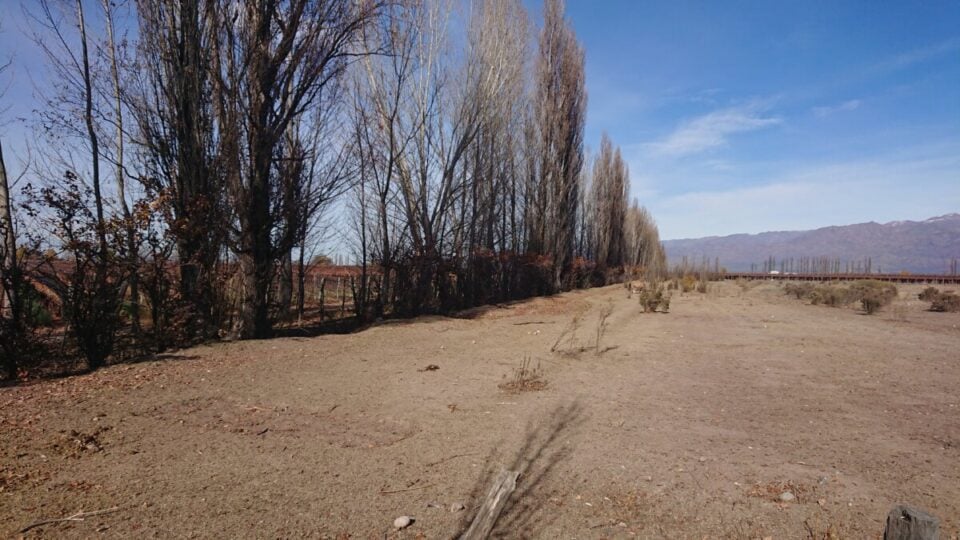 ALTAMIRA VALLE DE UCO  CAMPO INCULTO IDEAL VIÑEDO, HOTEL, RESTO