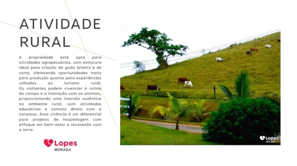 HOTEL FAZENDA HISTORICO CINEMATOGRAFICO NO VALE DO PARAIBA