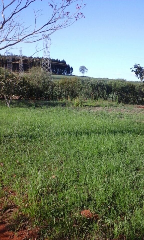INDÚSTRIA DE COSMÉTICOS NATURAIS E ÓLEOS ESSENCIAIS EM CASCAVEL/PR