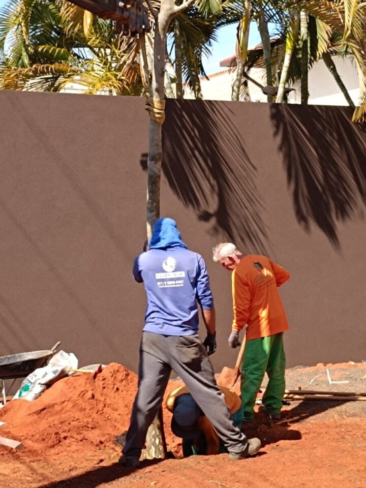 Oportunidade Única Venda da Empresa Clean-Teck Paisagismo