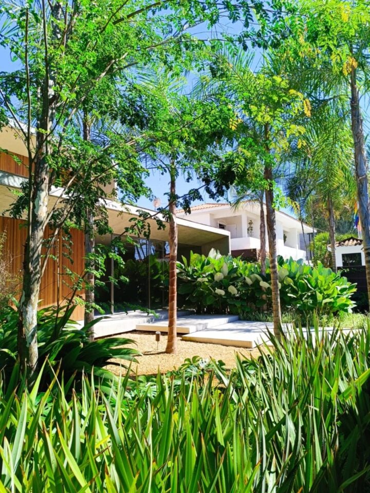 Oportunidade Única Venda da Empresa Clean-Teck Paisagismo