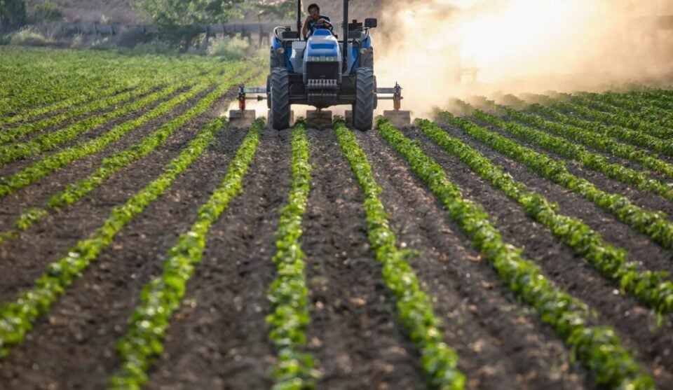Distribuidora de Insumos Agrícolas à Venda