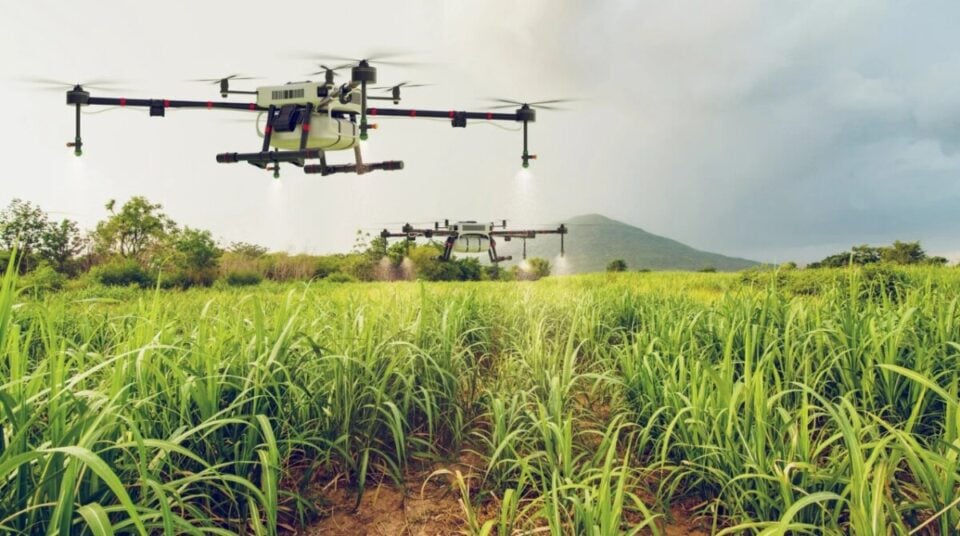 Distribuidora de Insumos Agrícolas à Venda