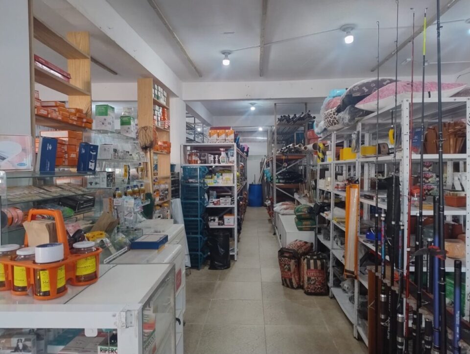 Agropecuária
