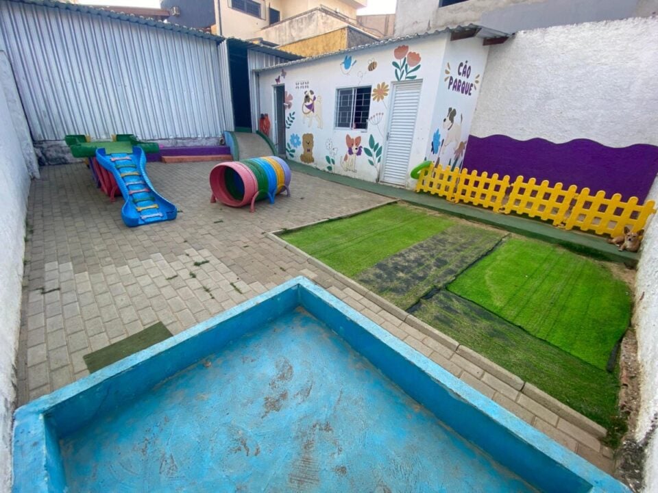 Creche e hotel para cães – Campinas/SP
