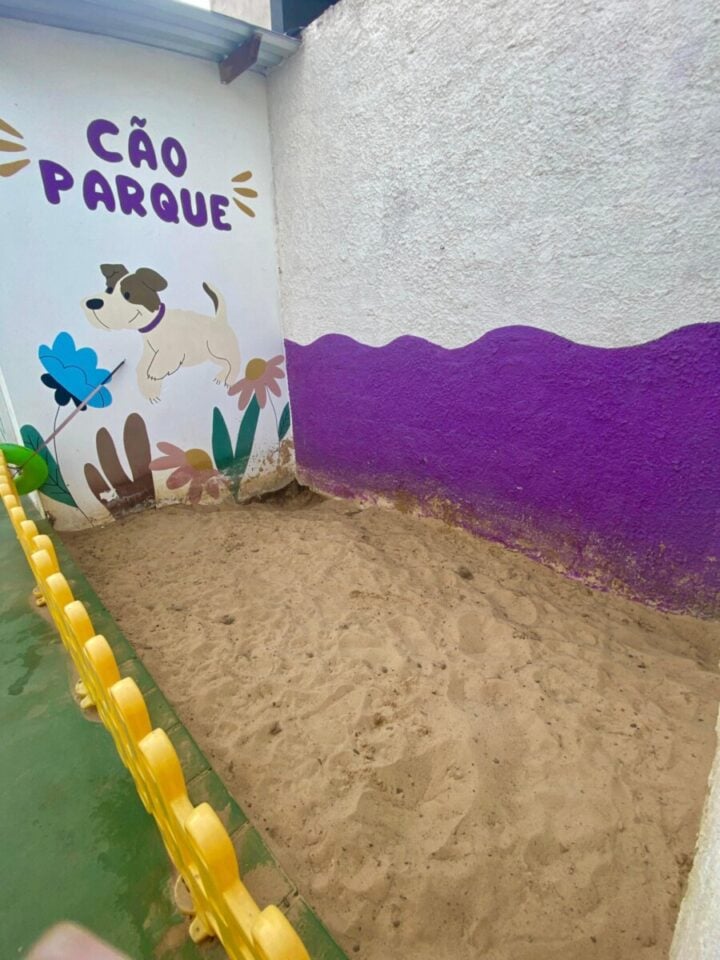 Creche e hotel para cães – Campinas/SP