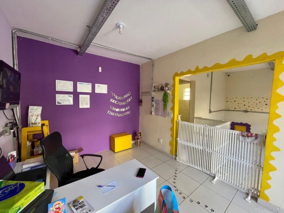 Creche e hotel para cães – Campinas/SP