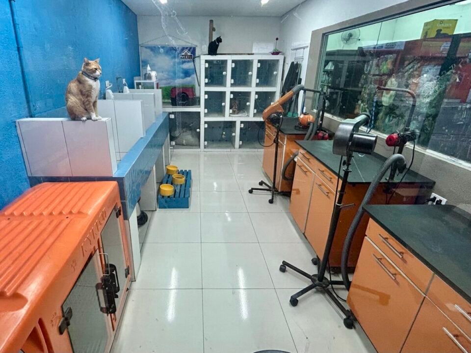Pet Shop à Venda – Excelente Oportunidade de Negócio em Guarulhos/SP
