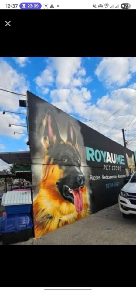 Pet Rações Medicamentos em Pinhais
