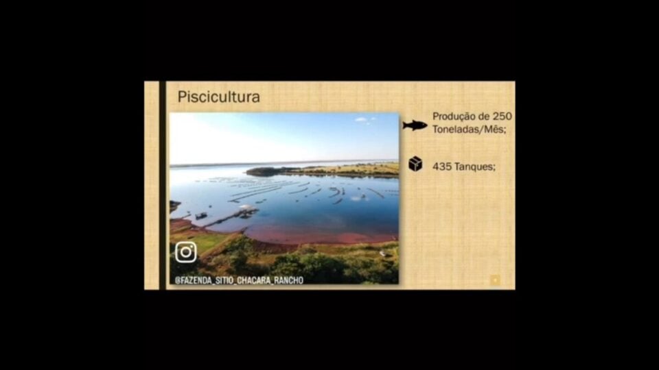 FAZENDA DE PISCICULTURA PEIXES COM FRIGORÍFICO – SP