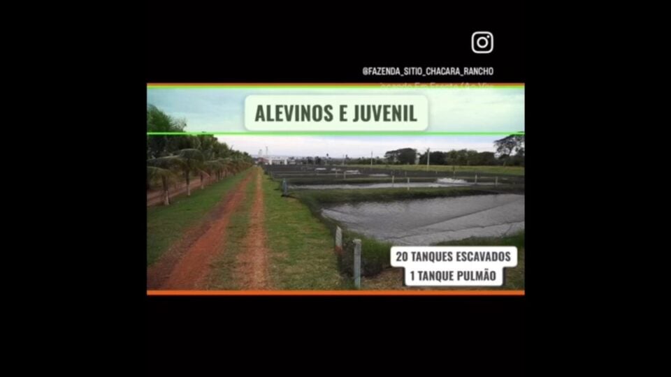 FAZENDA DE PISCICULTURA PEIXES COM FRIGORÍFICO – SP
