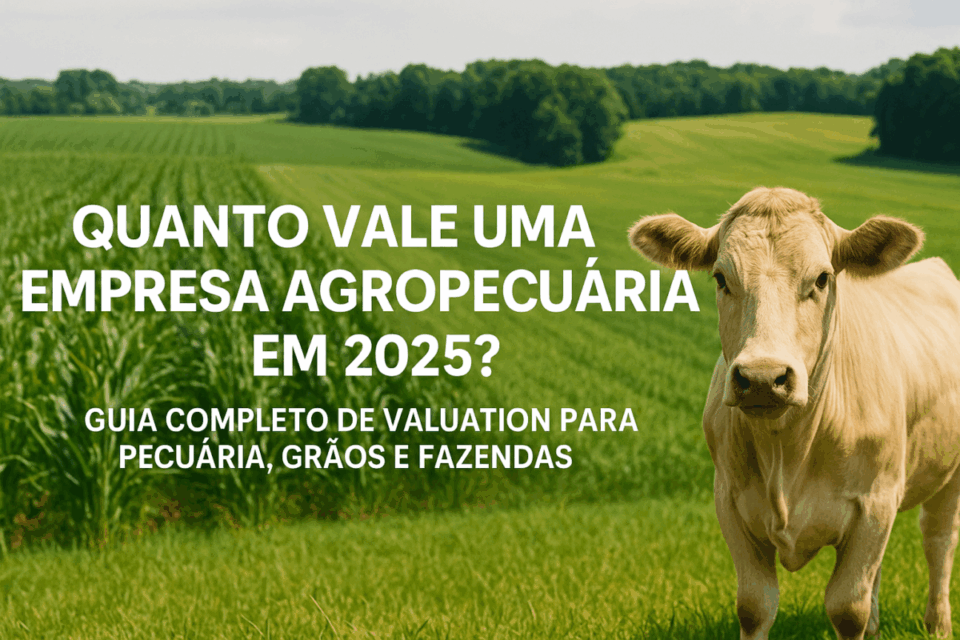 🌾 Quanto vale uma empresa agropecuária em 2025? Guia completo para pecuária, grãos e fazendas
