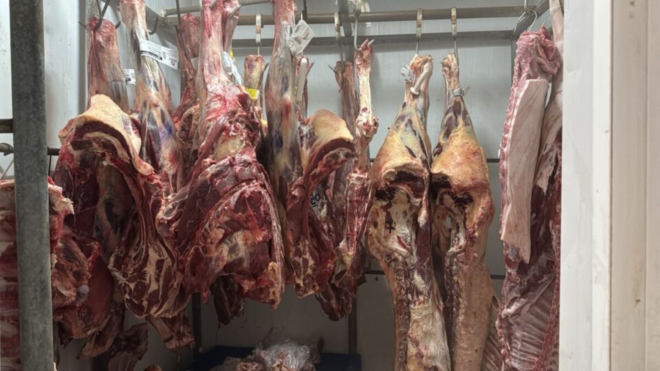 Casa de carne