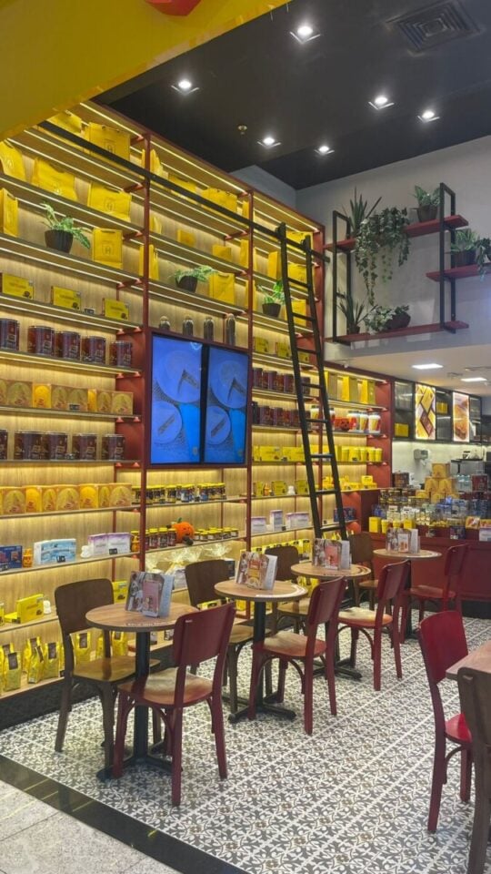 🟫 REPASSE – FRANQUIA HAVANNA – SALVADOR/BA