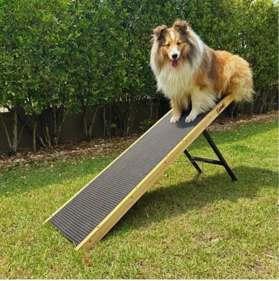 SENSACIONAL  INDÚSTRIA DE ARTIGOS PET – INTERIOR DE SP 80 KM DA CAPITAL