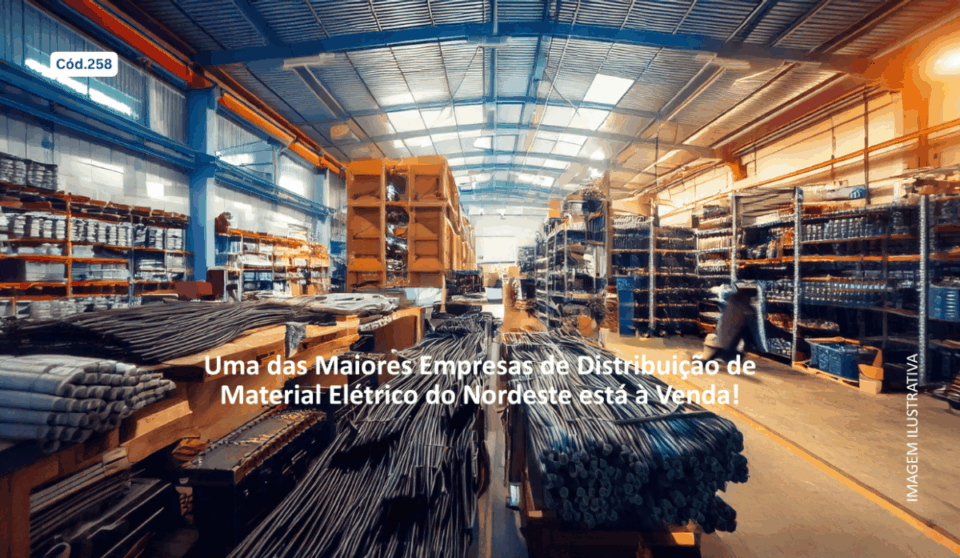 Cód258 – Distribuidora de Material Elétrico B2B à Venda no Nordeste