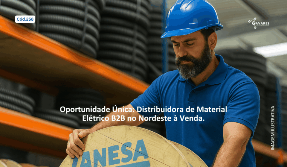 Cód258 – Distribuidora de Material Elétrico B2B à Venda no Nordeste