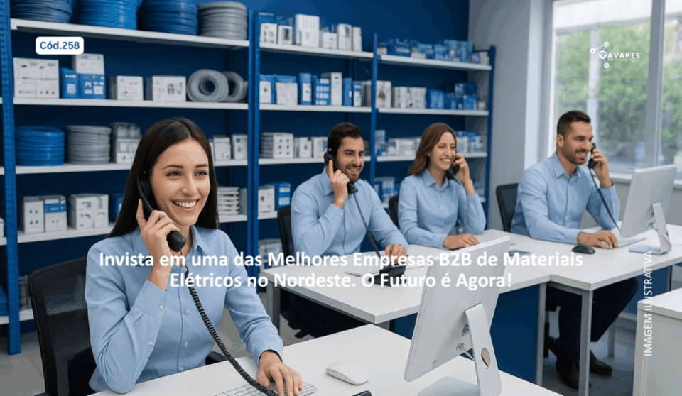 Cód258 – Distribuidora de Material Elétrico B2B à Venda no Nordeste