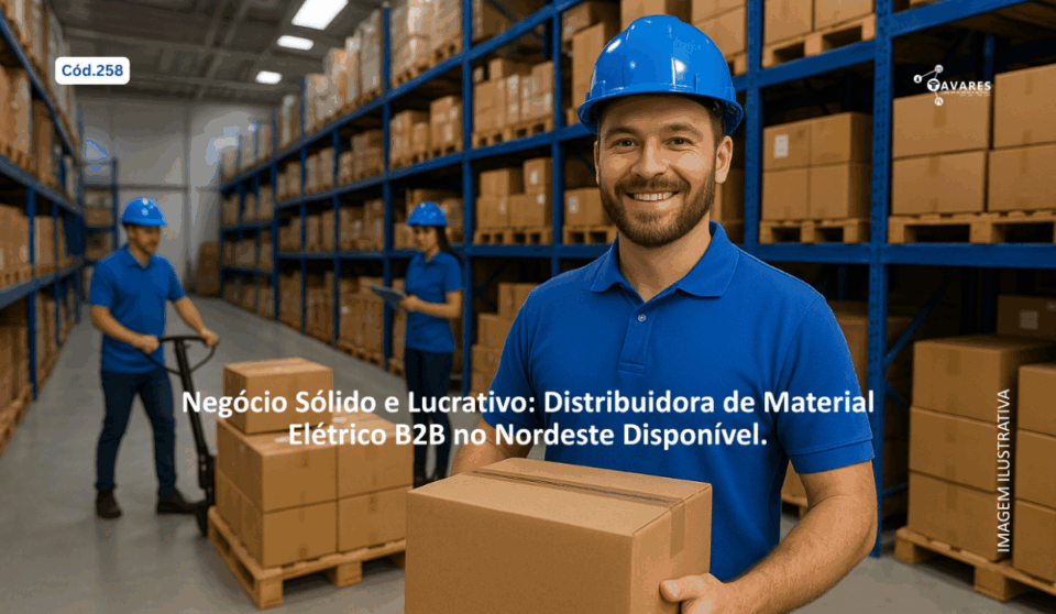 Cód258 – Distribuidora de Material Elétrico B2B à Venda no Nordeste