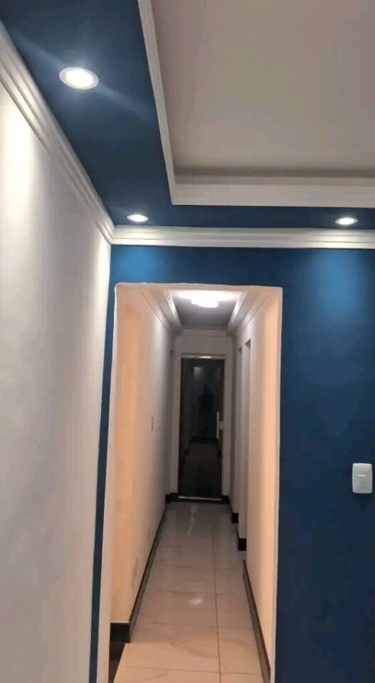 Mais gesso forros decorados eletrica