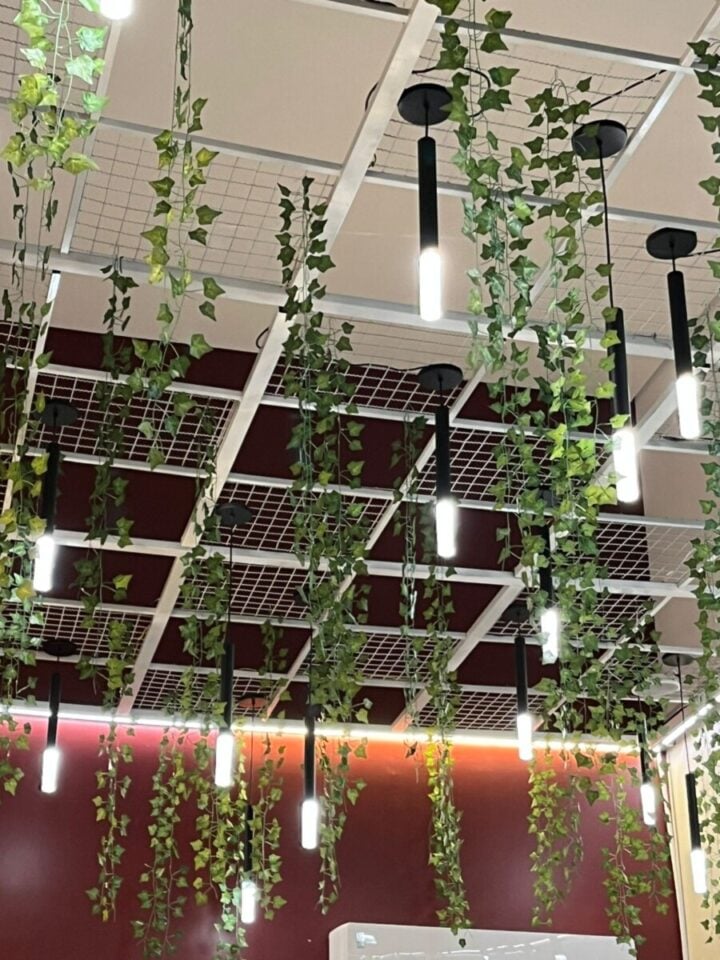 REPASSE DE FRANQUIA AÇAÍ PURÍSSIMO